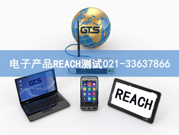 ��ӮaƷREACH�yԇ