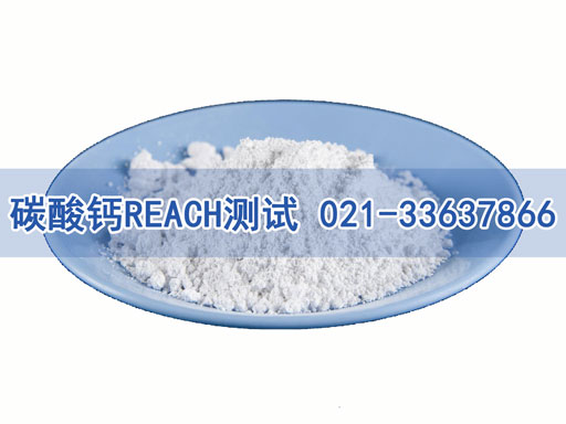 ̼���}REACH�yԇ