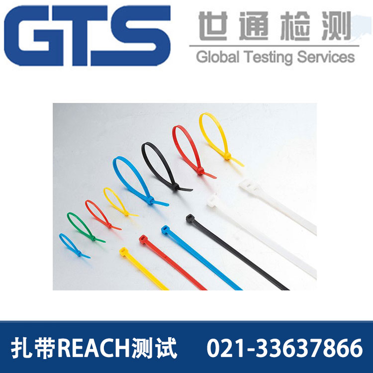 ����REACH�yԇ