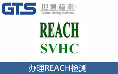 �k��REACH�z�y