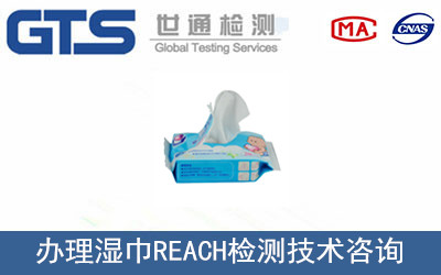 ���REACH�z�y