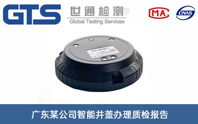 智能井蓋質檢報告