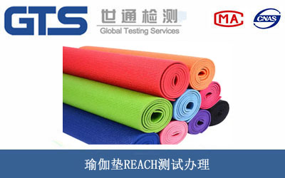 �٤�|REACH�yԇ