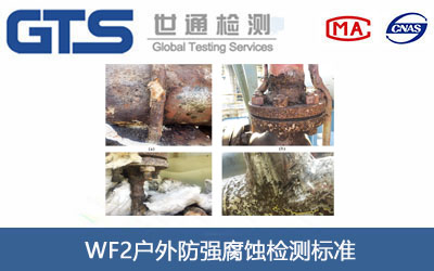 WF2����������g�z�y