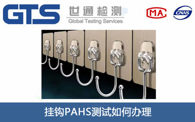 ���^PAHS�yԇ